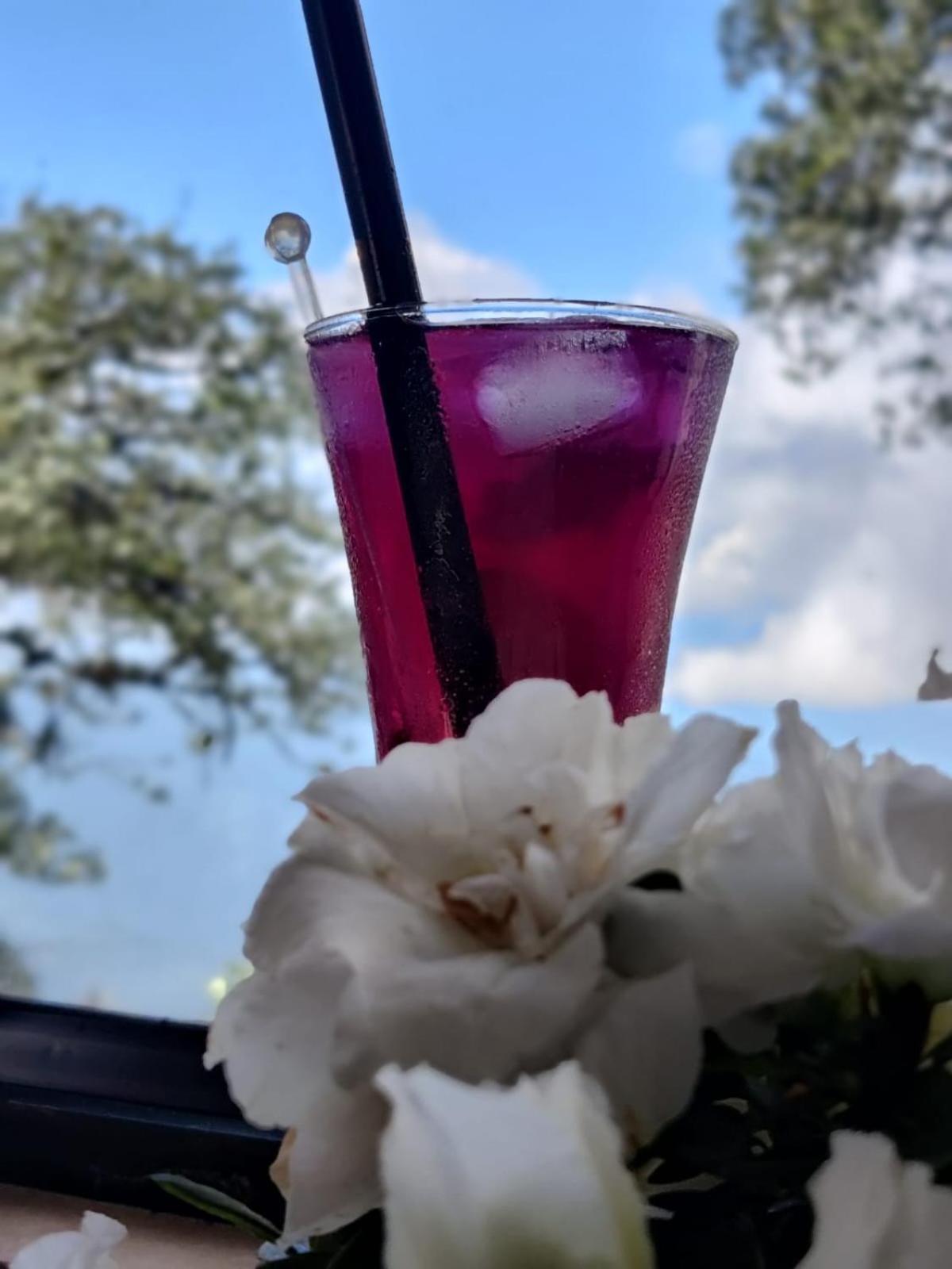 Arcadia Heritage Resort Darjeeling  Ngoại thất bức ảnh